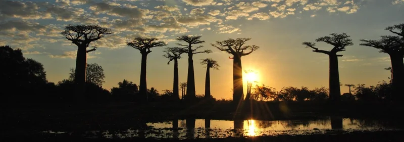 Africa, un viaggio che vale una vita
