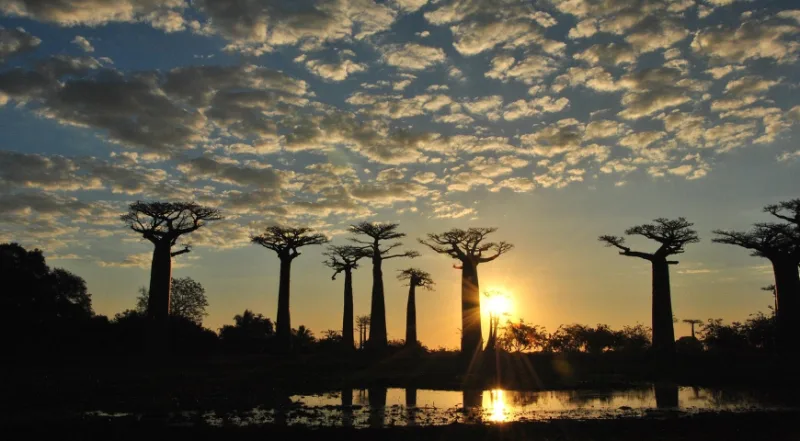 Africa, un viaggio che vale una vita