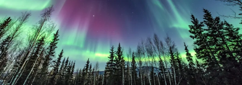 Notte Polare: dove la luce scompare  e l’Aurora si racconta