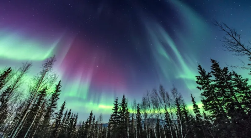 Notte Polare: dove la luce scompare  e l’Aurora si racconta