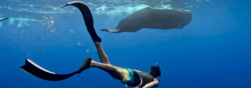 Tra Orche e Primati, lo spirito “wild” del nostro Nicolò Palmucci