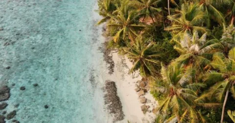 Maldive