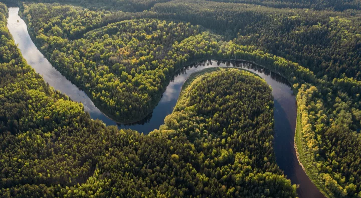 Avventura in Amazzonia