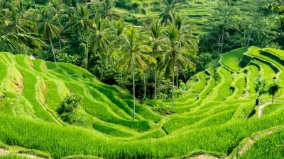 Indonesia: Bali e Gili
