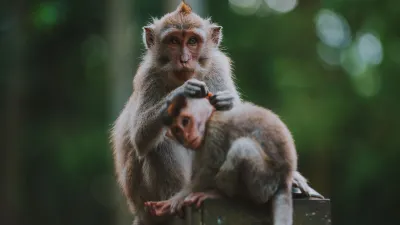 Indonesia: Bali e Gili