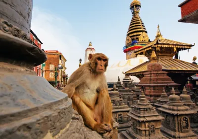 Bhutan: nel paese della felicità