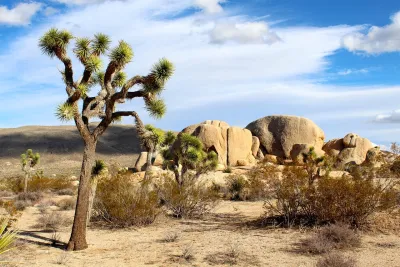 Capodanno in California e a Vegas