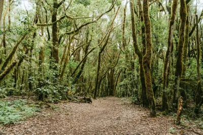 Canarie: La Gomera e Tenerife