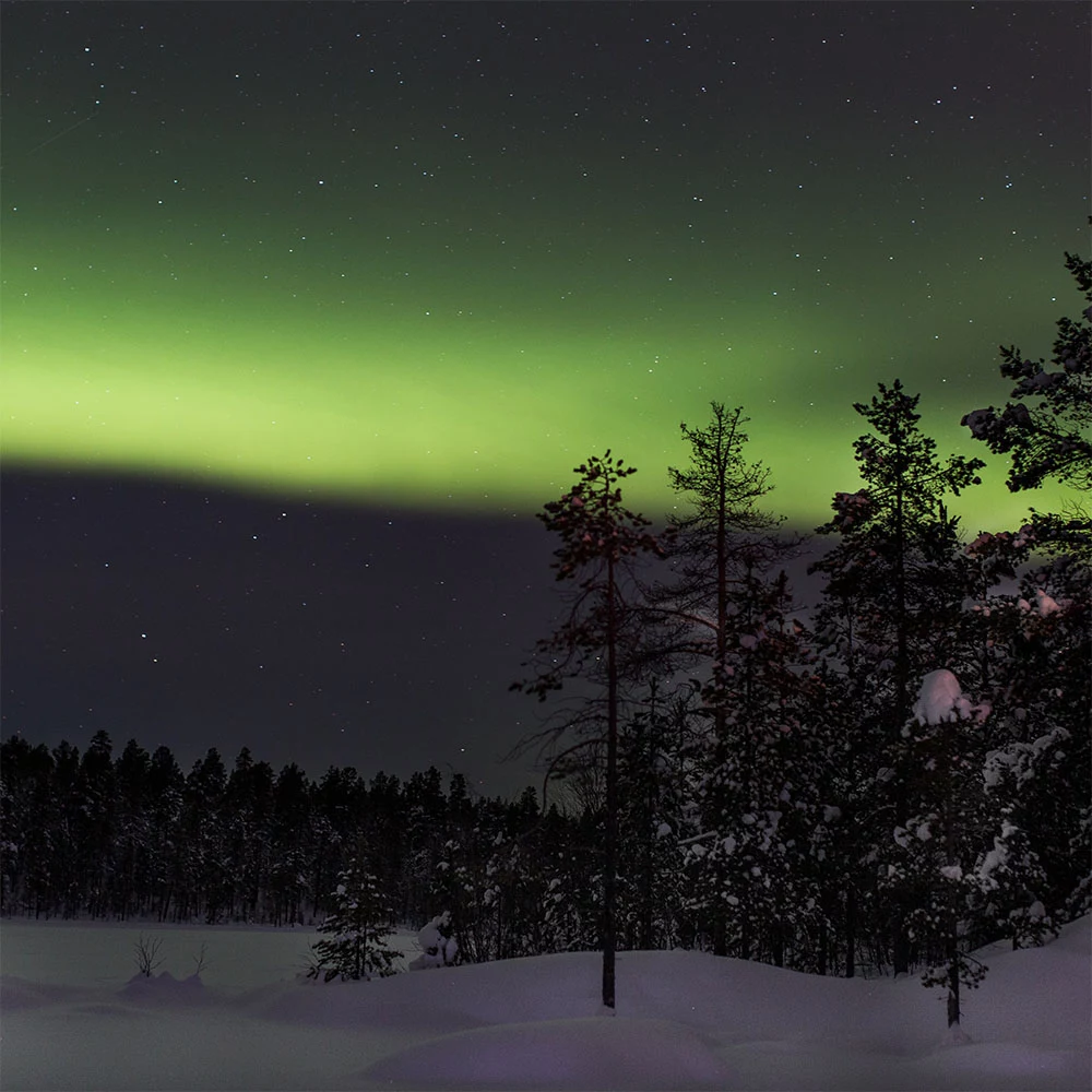Aurora boreale Lapponia