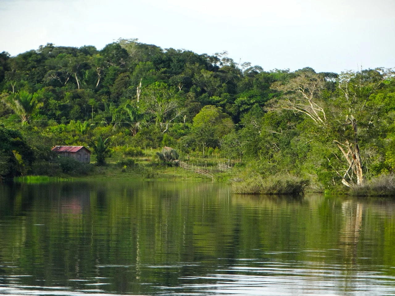 Ecuador: dalle Ande all'Amazzonia