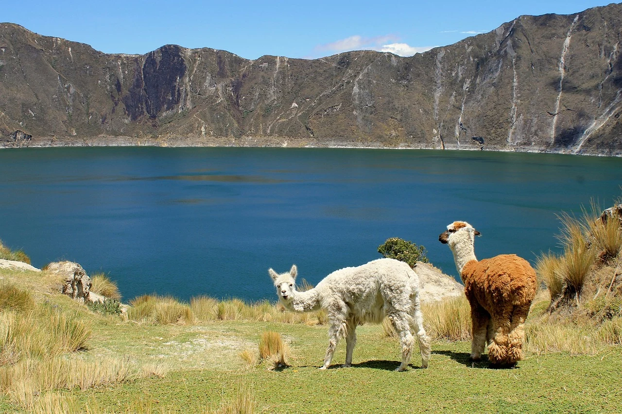 Ecuador: dalle Ande all'Amazzonia