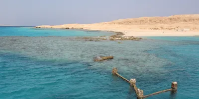 Eritrea Wild e le isole Dahlak