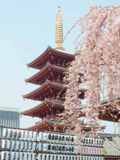 Hanami