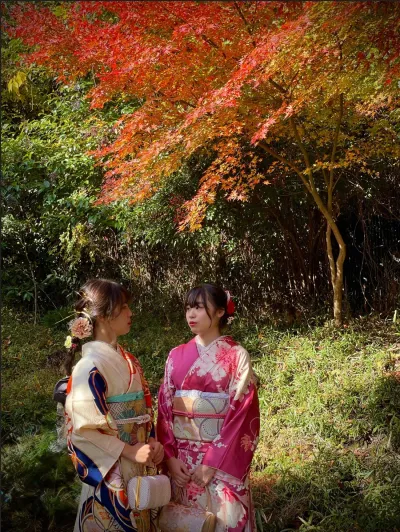 Giappone Foliage