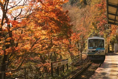 Giappone Foliage
