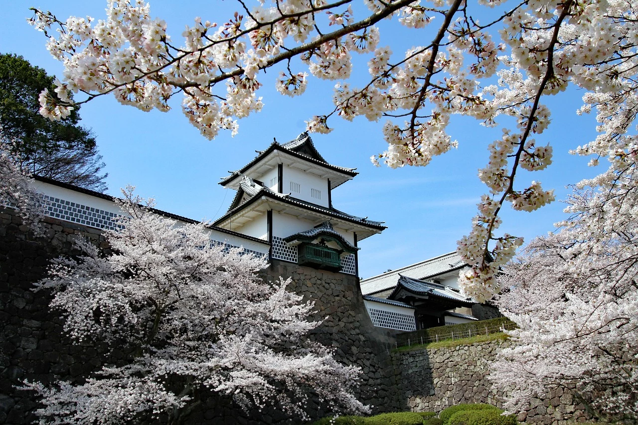 Giappone Hanami