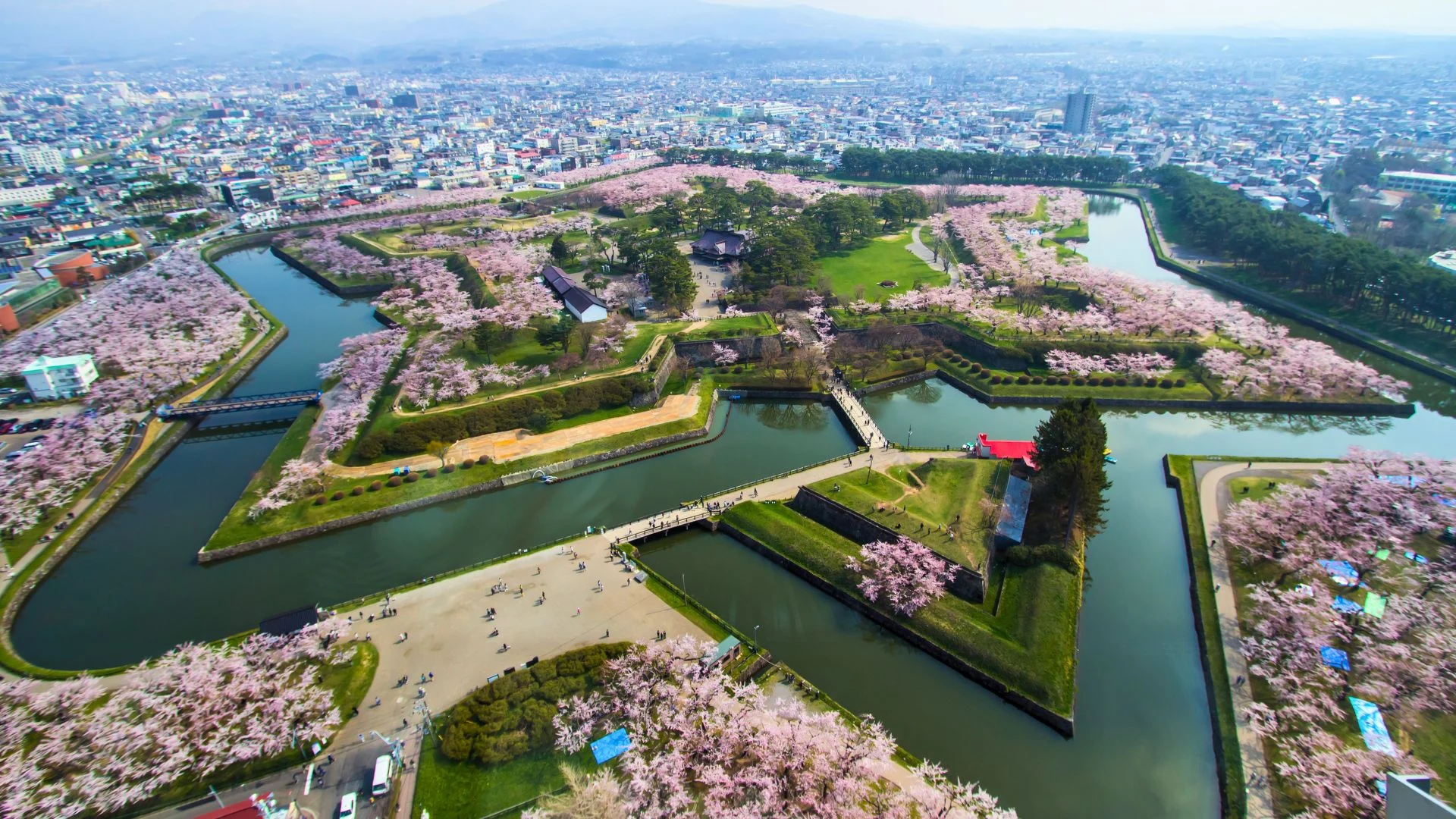 Giappone: fioritura nell'Hokkaido