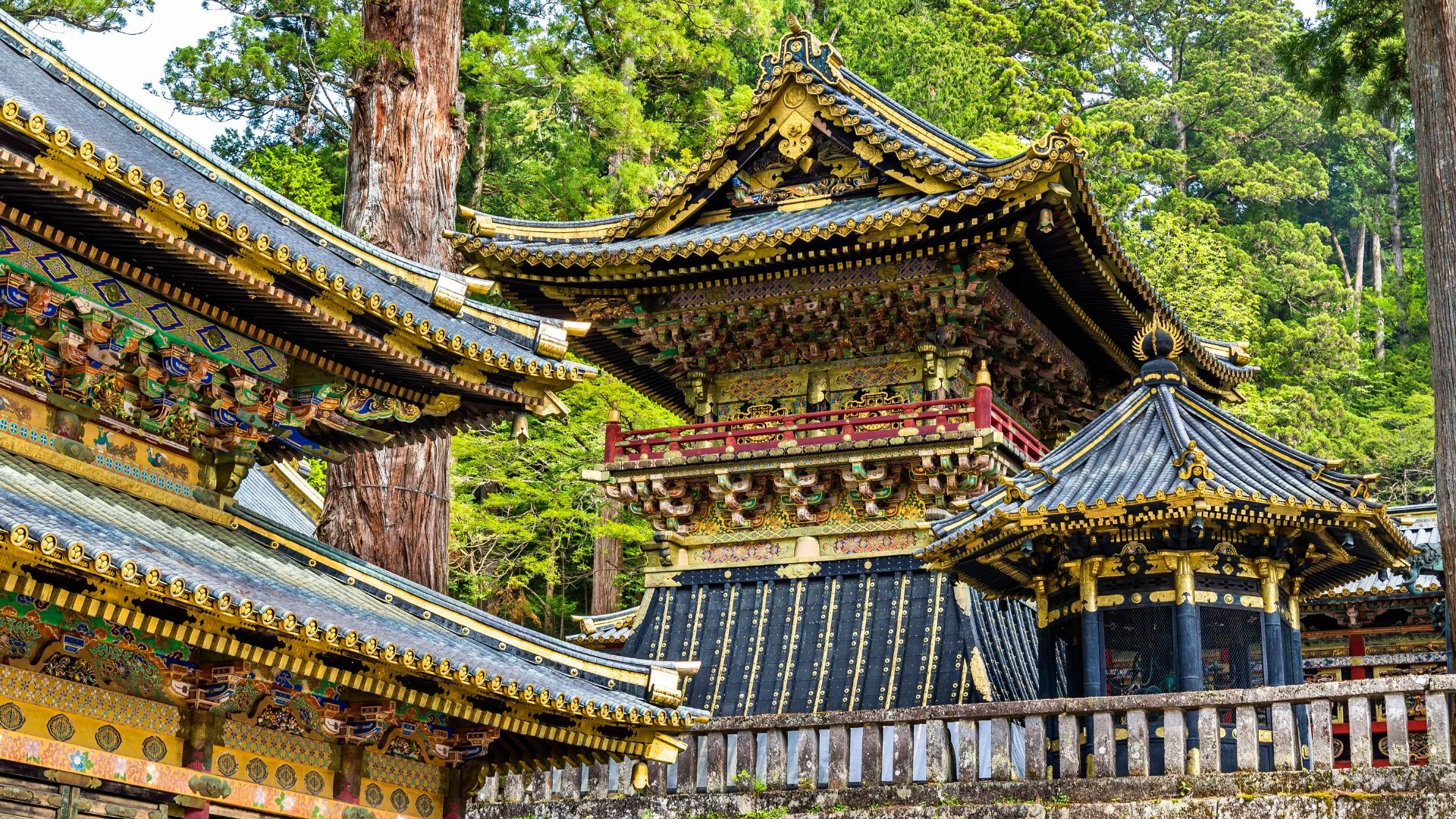 Giappone: fioritura nell'Hokkaido