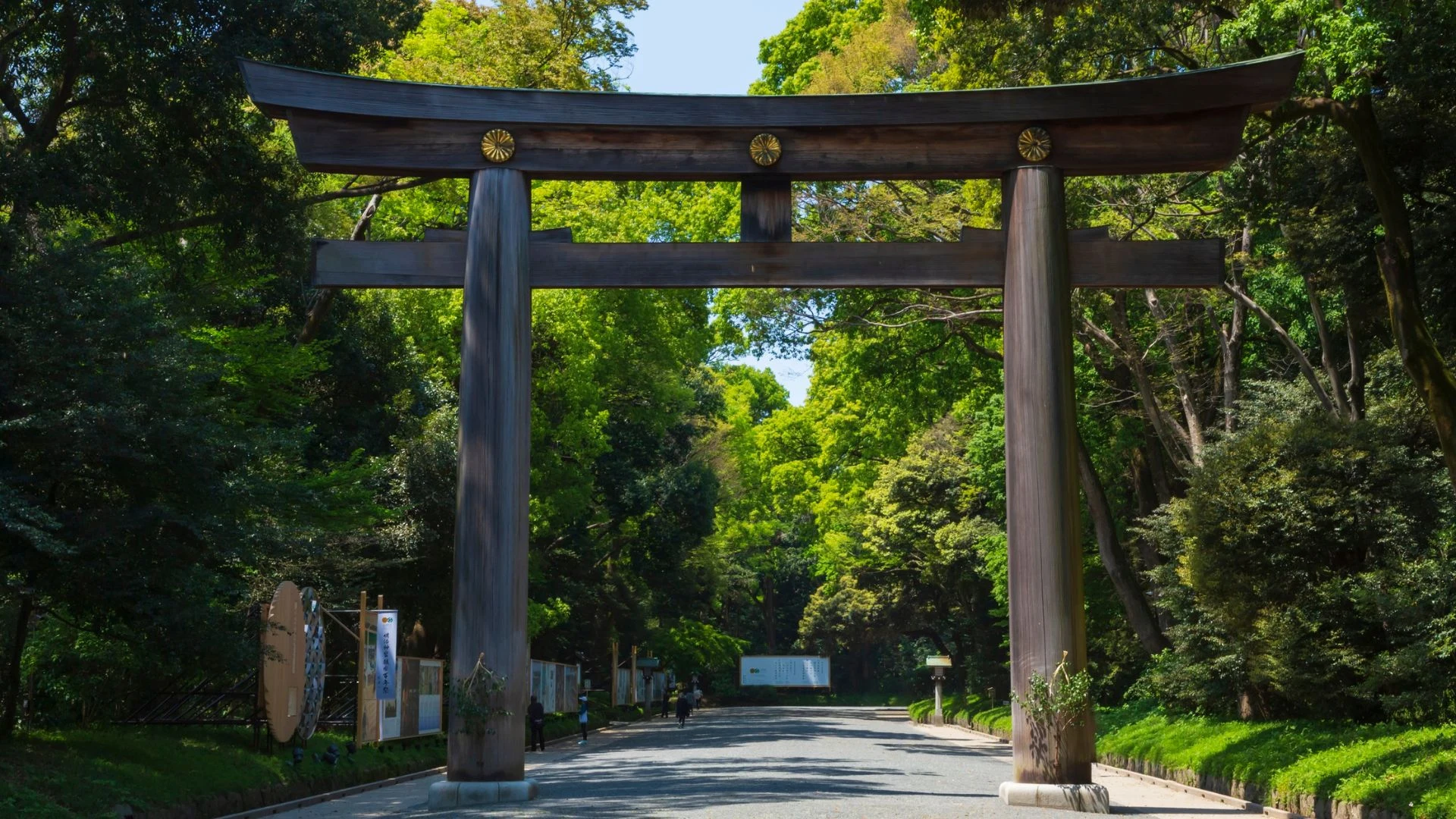 Giappone: fioritura nell'Hokkaido