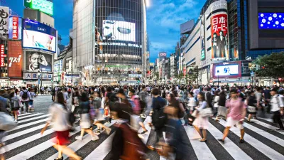 Giappone: fioritura nell'Hokkaido