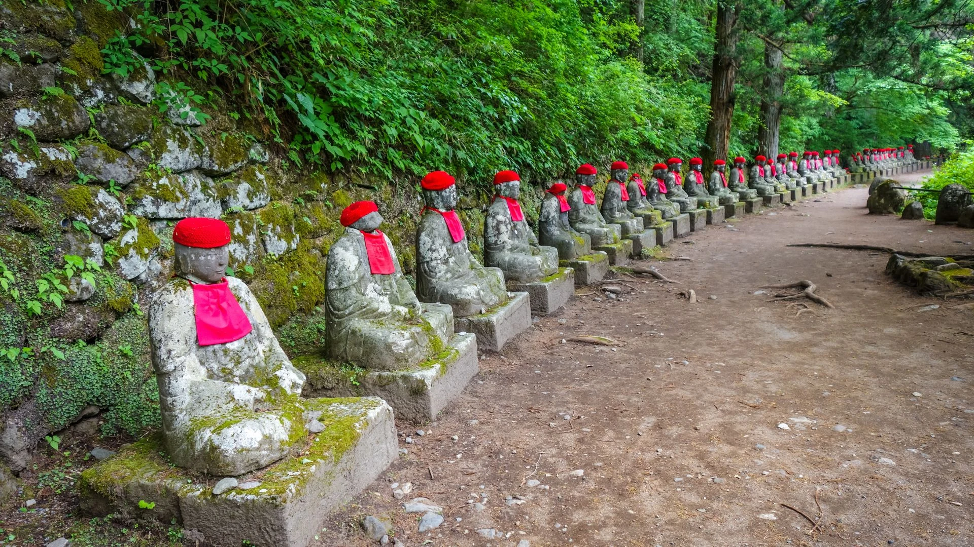 Giappone: fioritura nell'Hokkaido