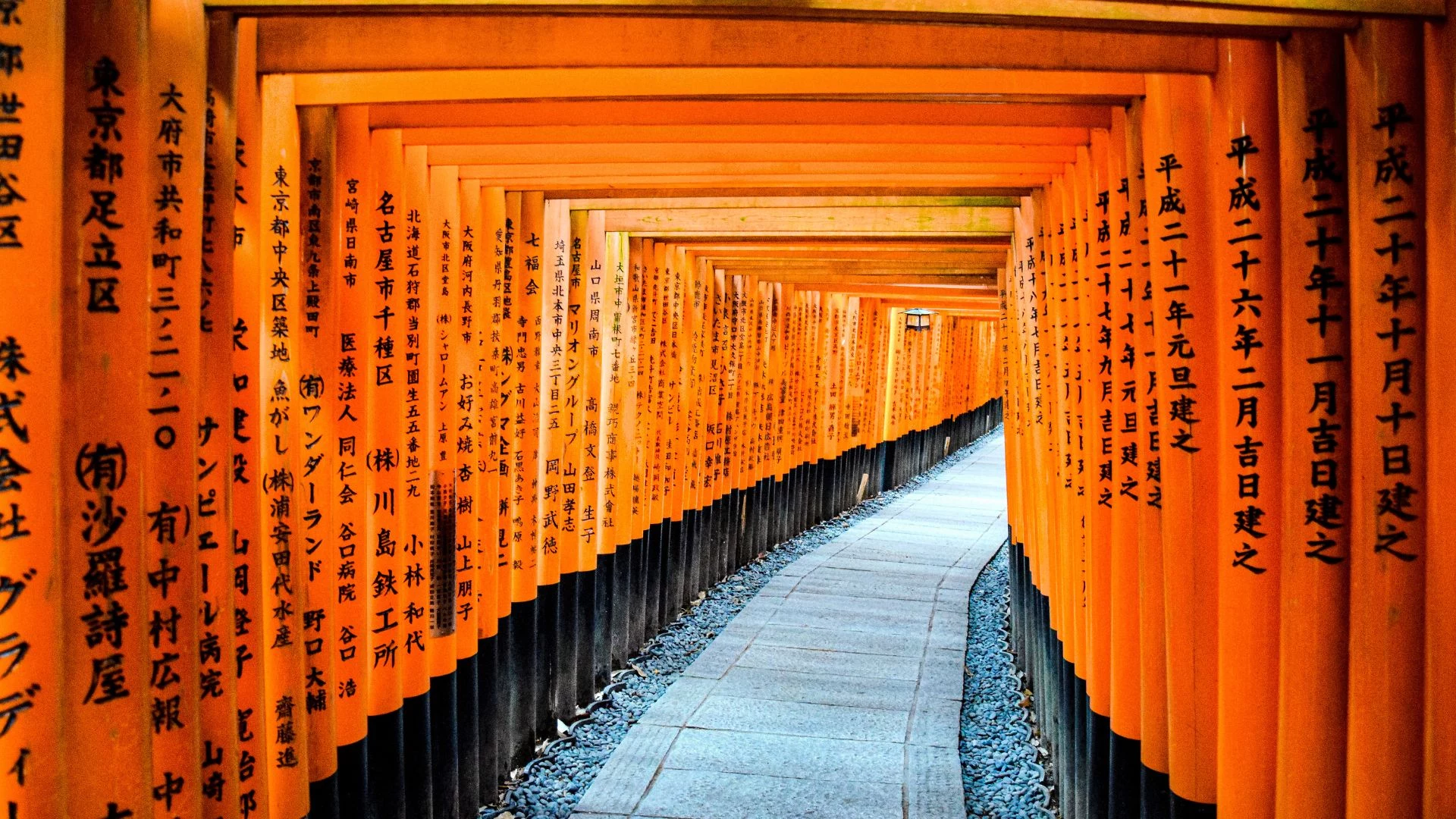 Giappone: da Tokyo al Kumano Kodo