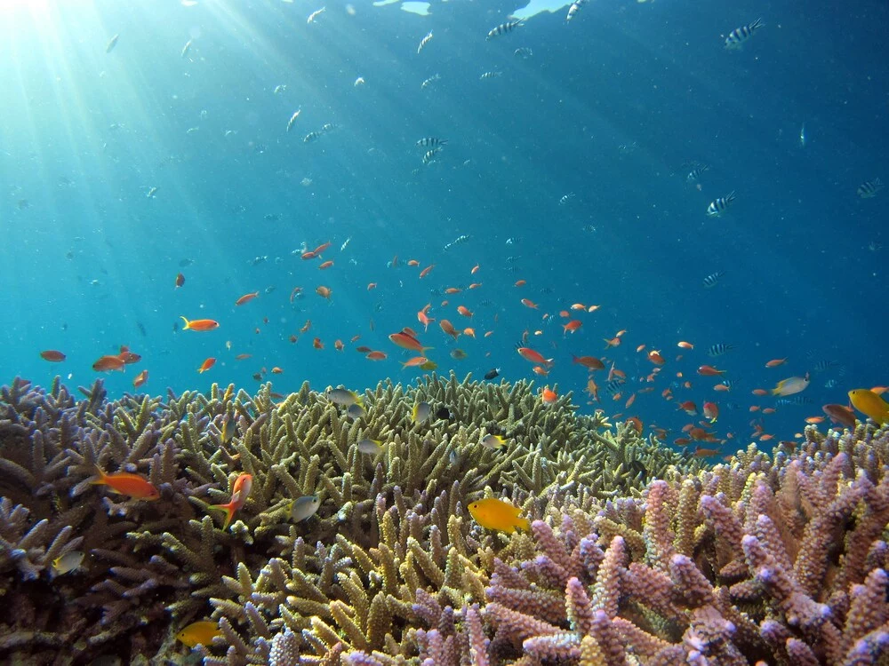 Giappone:  le isole remote di Okinawa