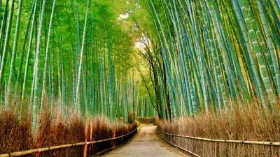 Giappone: tra natura e tradizione