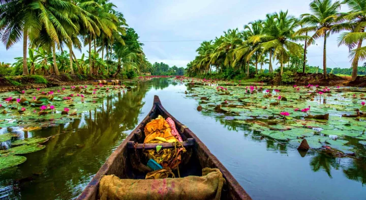 India Tropicale India Tropicale