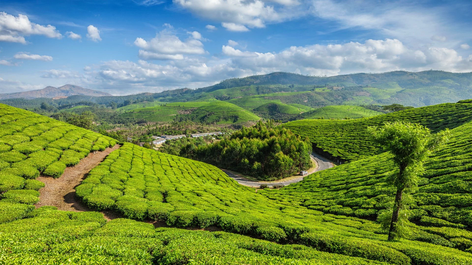 Kerala: l'anima dell'India