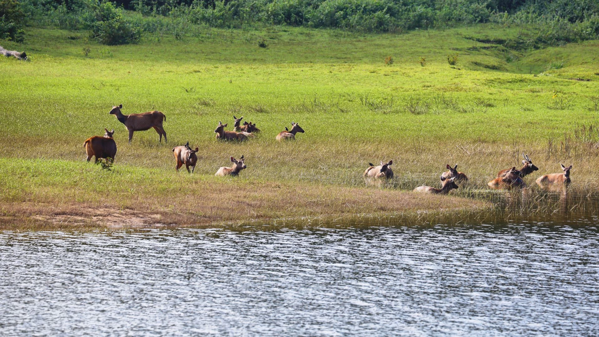 Kerala: l'anima dell'India