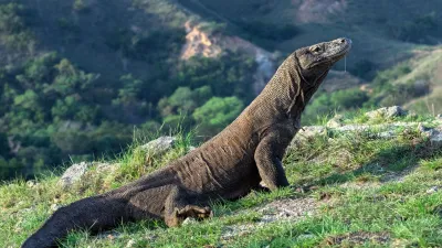 Indonesia: Bali e Komodo