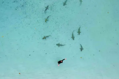 Incontri a Raja Ampat