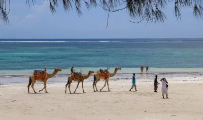 Kenya: safari e spiagge
