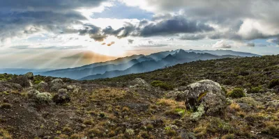 Trekking in vetta al Kilimanjaro