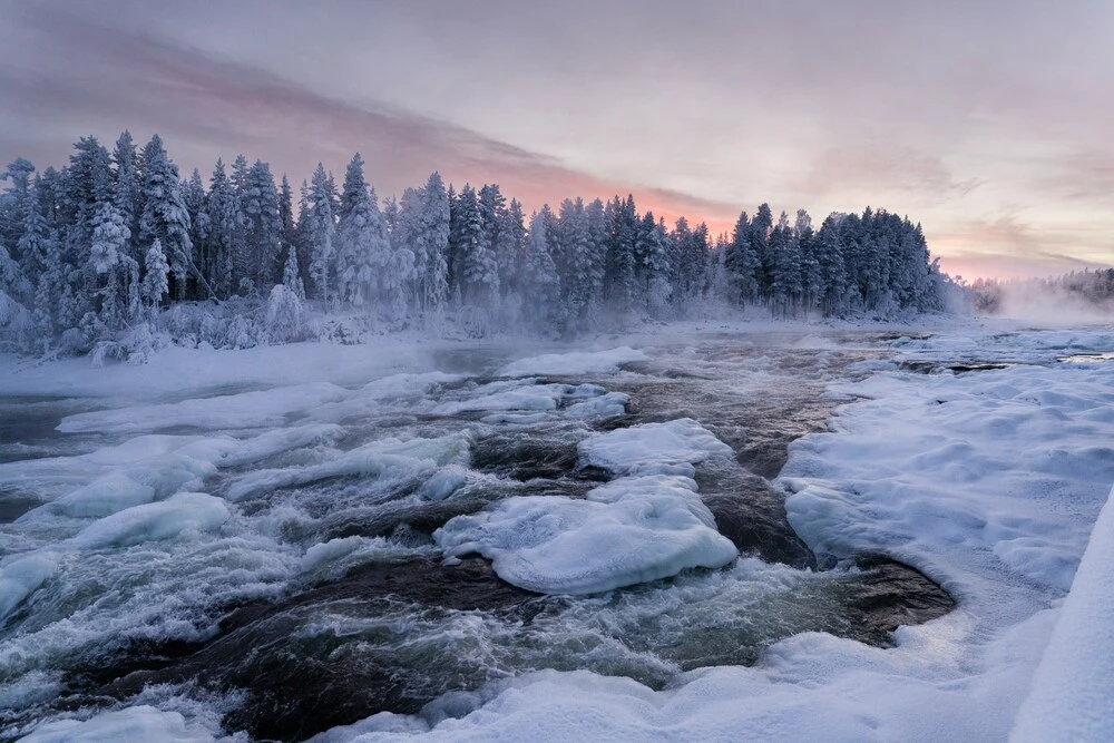 Lapponia: Aurore Boreali