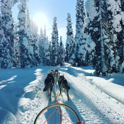 Husky Safari in Lapponia