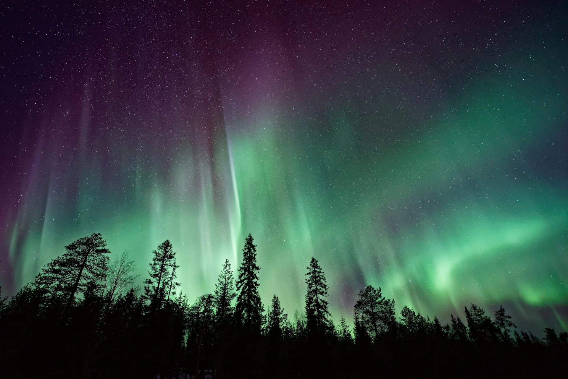 Aurora boreale in Lapponia