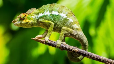 Madagascar: Grand Tour del sud