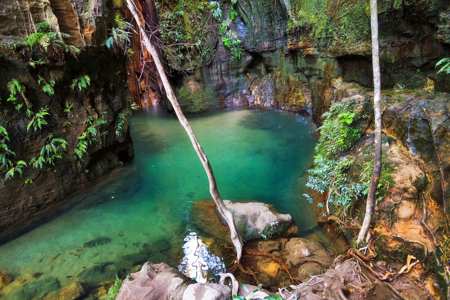 Madagascar: Grand Tour del sud