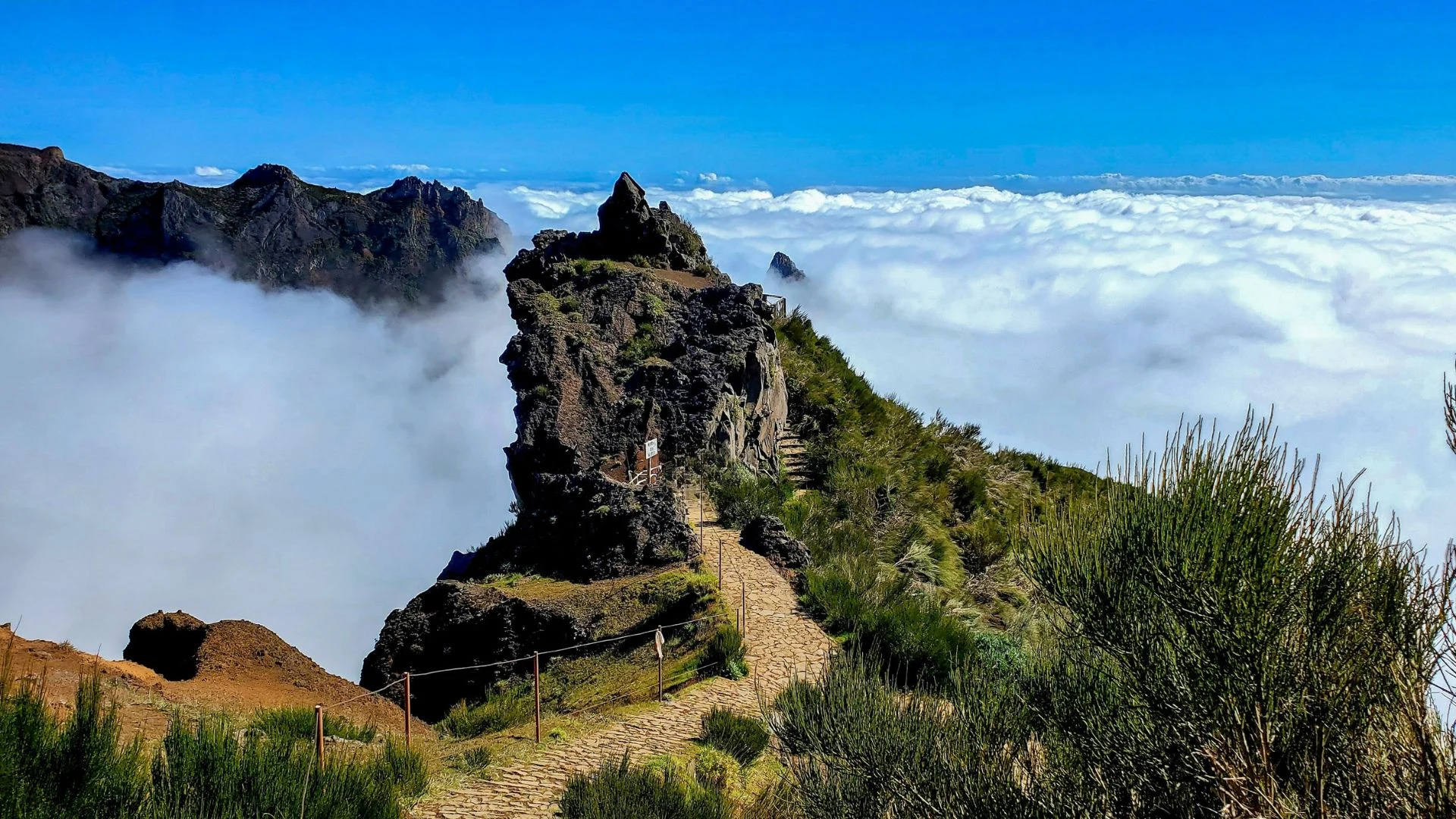 Madeira Express