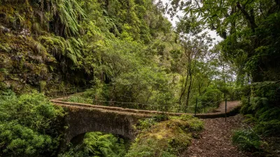 Madeira Express