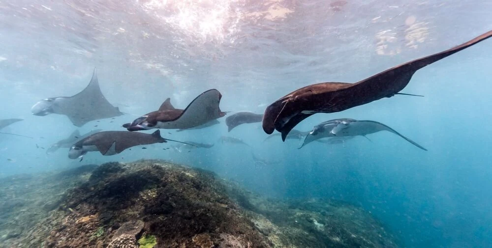 Maldive rotta Sud-Nord