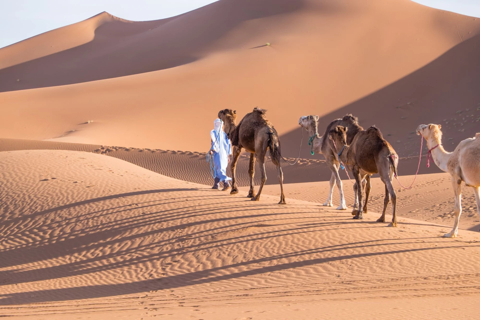 Marocco: dalle dune all'oceano