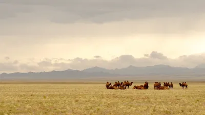 Mongolia on the road