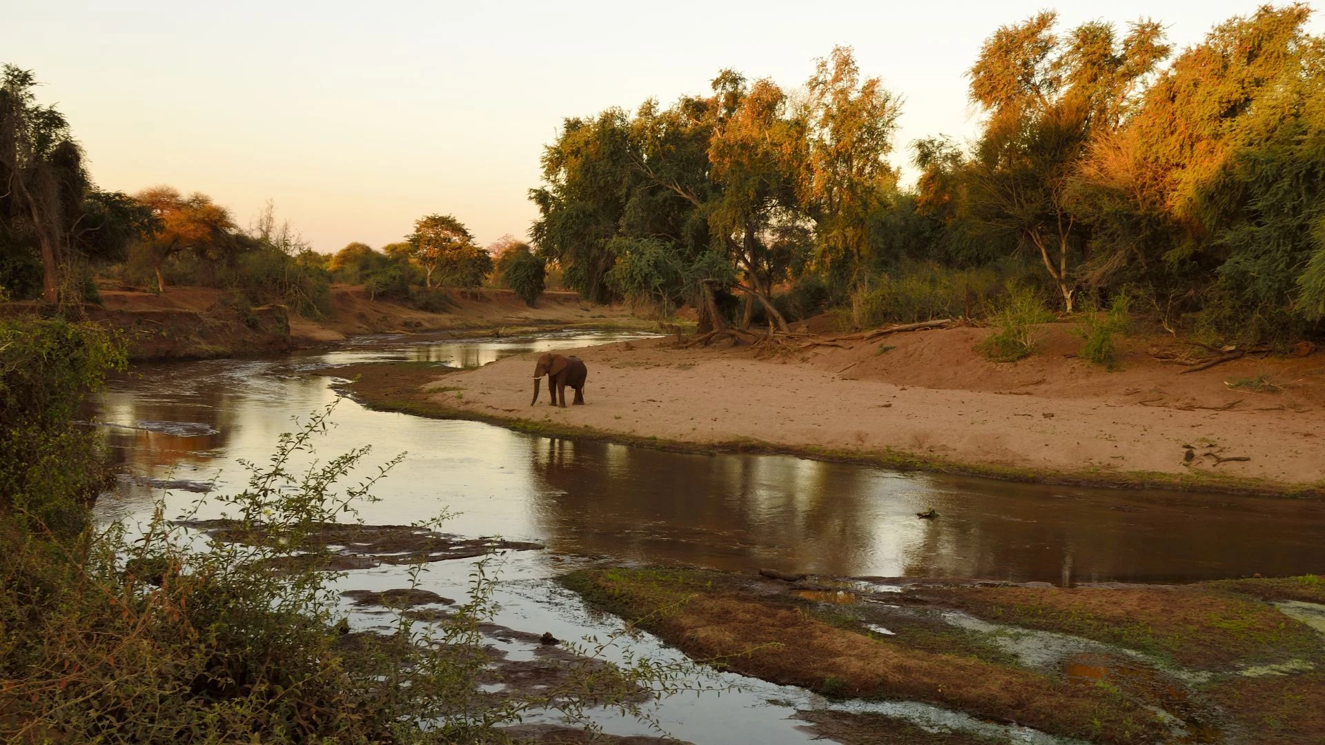Mozambico: safari nell’Oceano