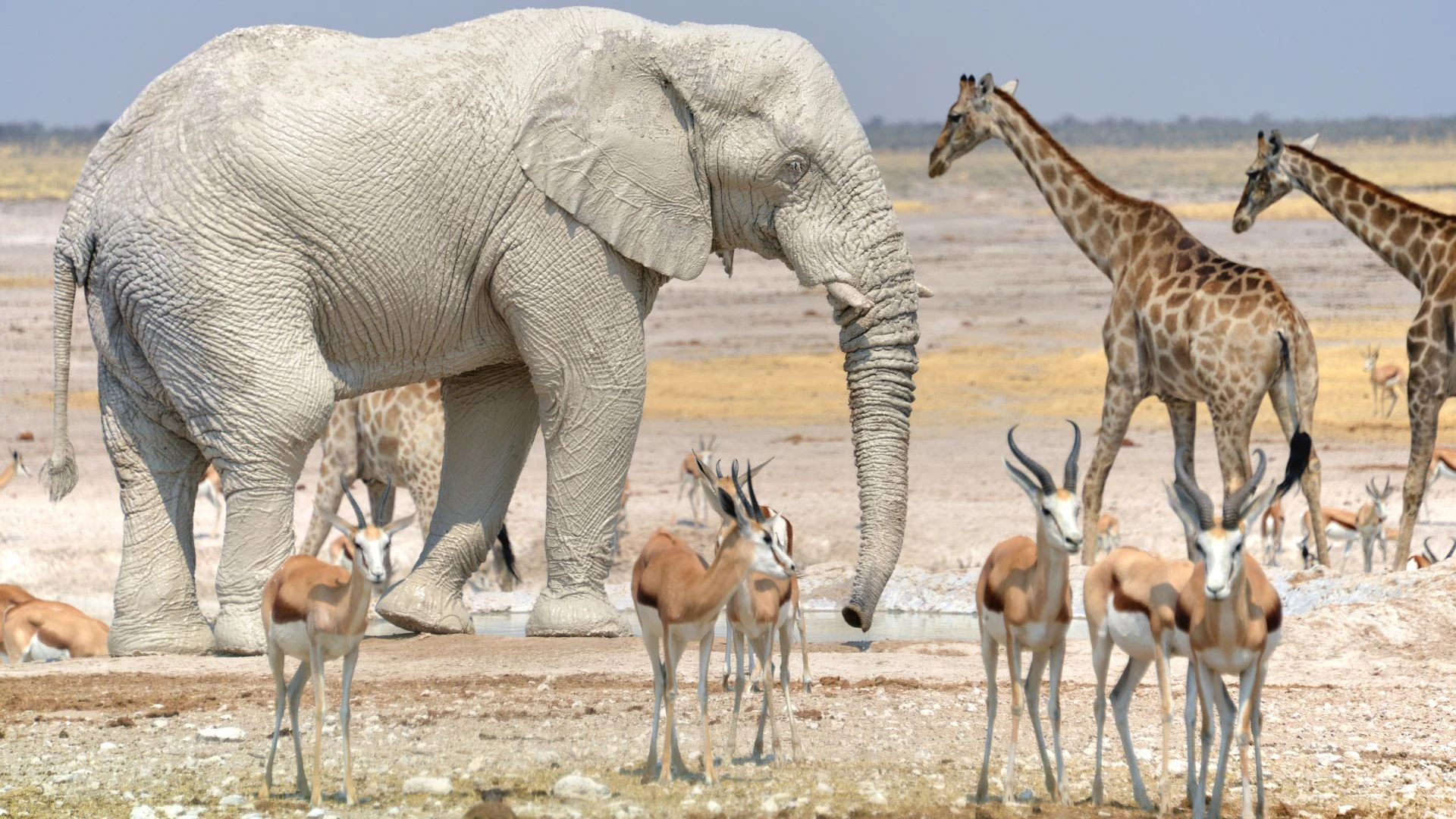 Namibia: avventura in fuoristrada