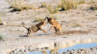 Namibia: avventura in fuoristrada