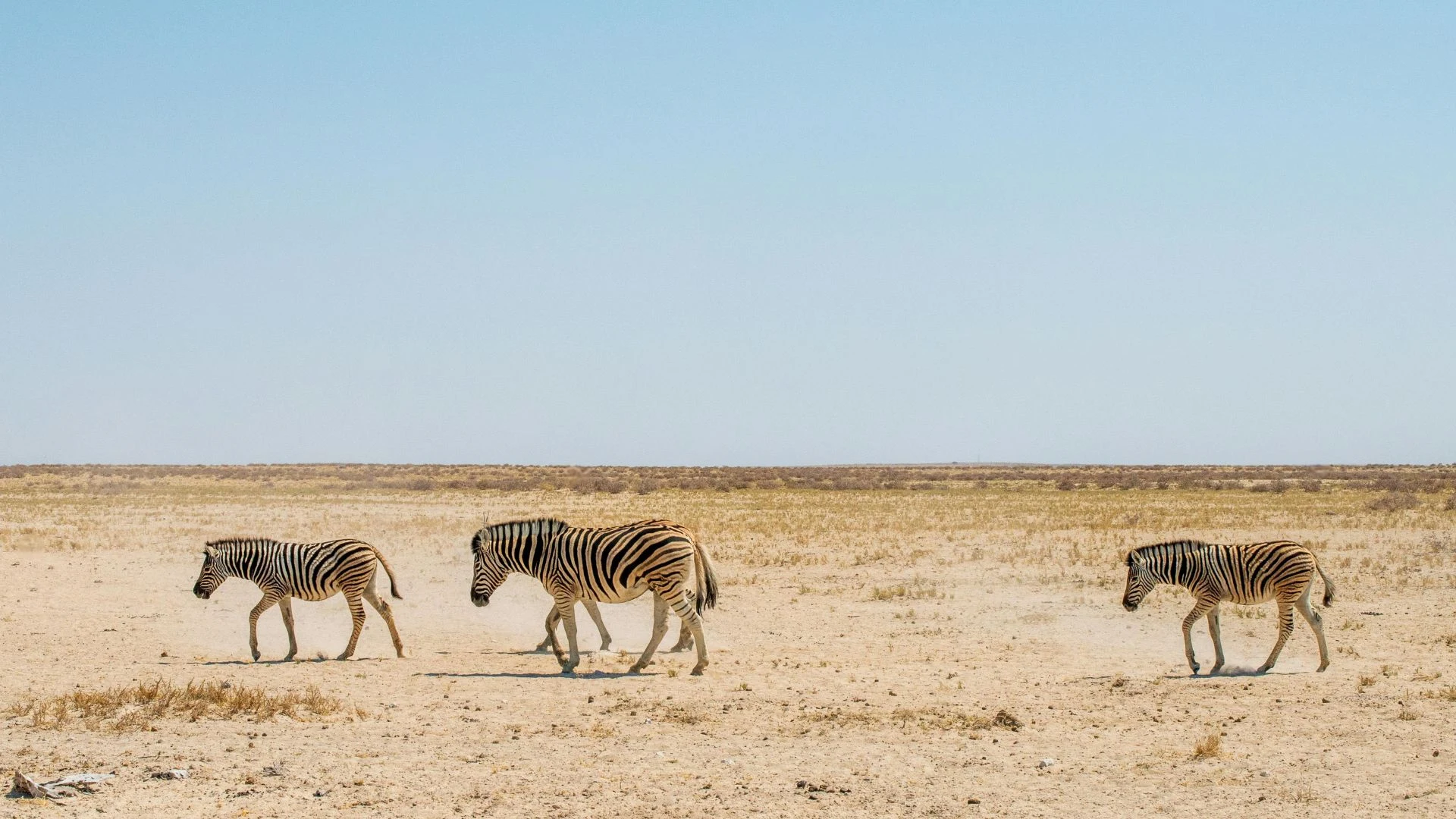 Namibia: avventura in fuoristrada