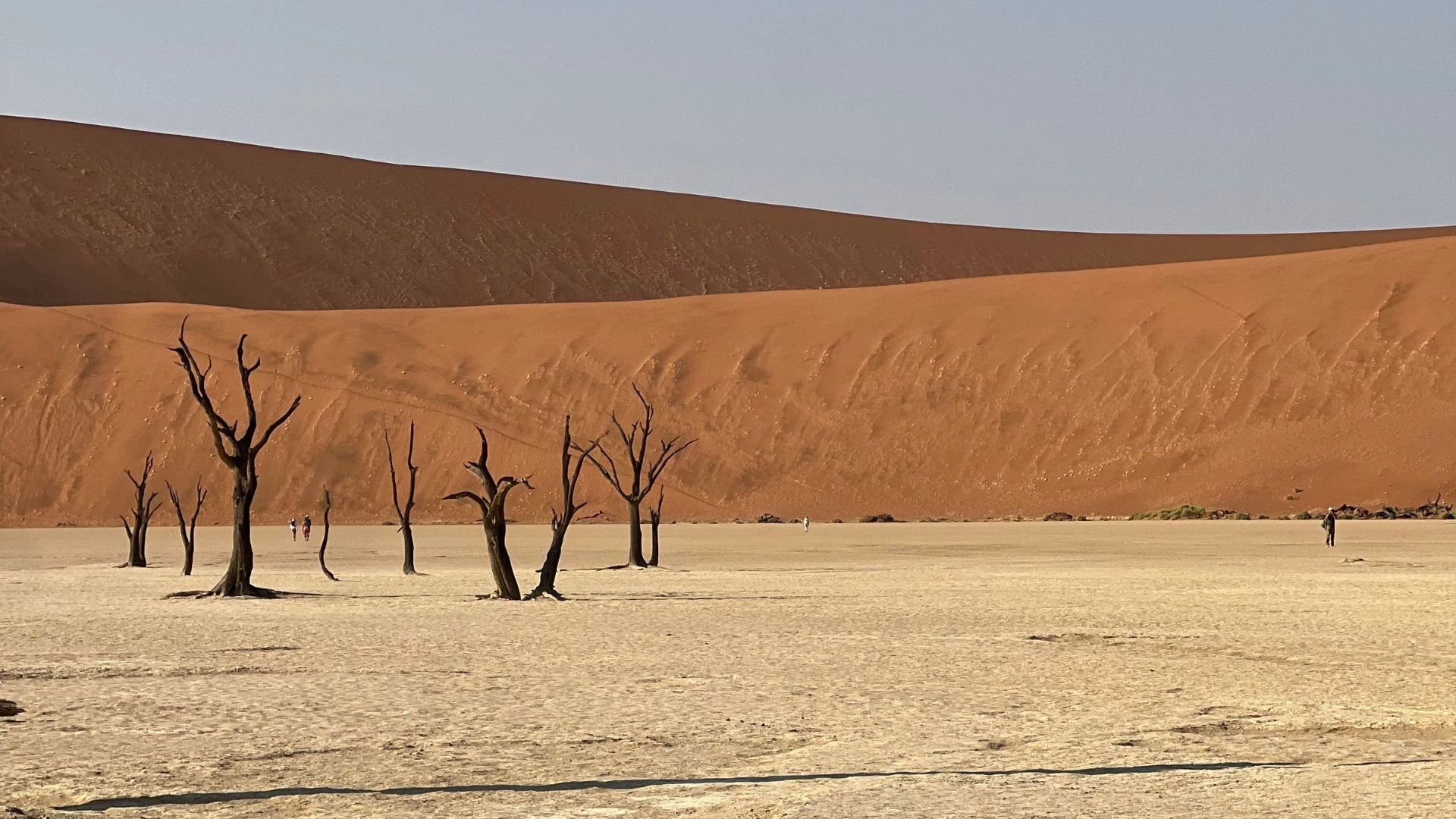 Namibia e Città del Capo